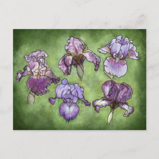 Postal Iris en morado