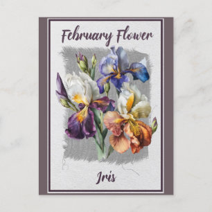 Postal Iris Floral Flor de Febrero Vintage