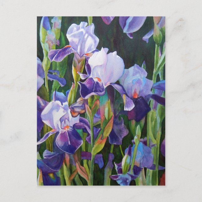 Postal Iris Flower Garden (Anverso)