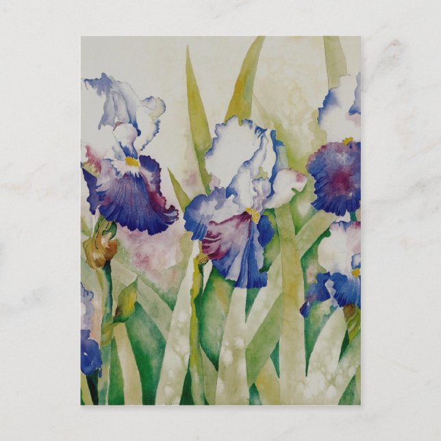 Postal iris garden 2 (Anverso)