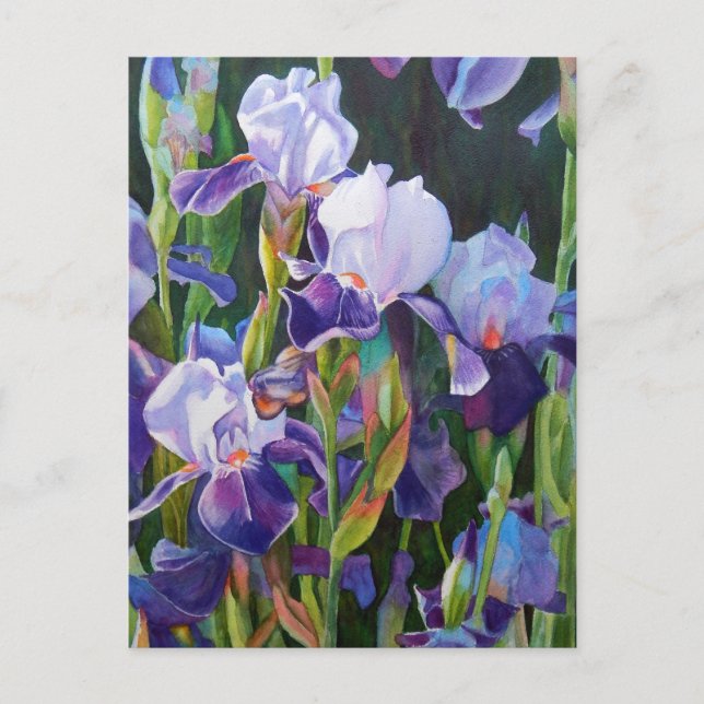 Postal Iris Garden de Lisa (Anverso)