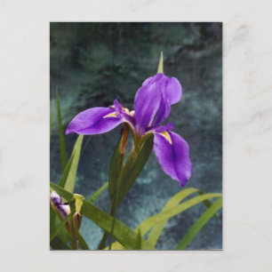 Postal Iris hídrico