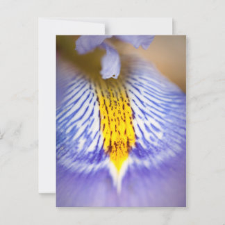 Postal Iris morado