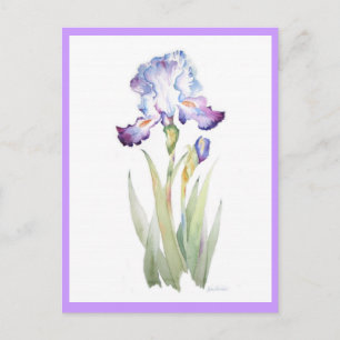 Postal Iris morado