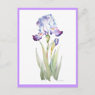 Postal Iris morado