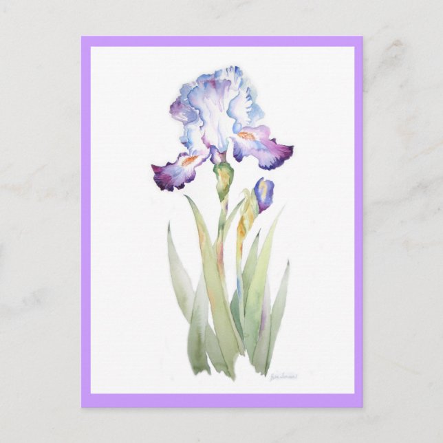 Postal Iris morado (Anverso)