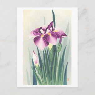 Postal Iris Púrpura Vintage de Japón