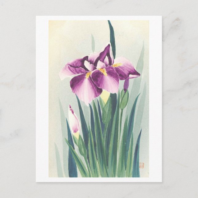 Postal Iris Púrpura Vintage de Japón (Anverso)