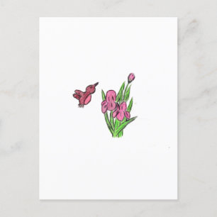 Postal Iris rosa