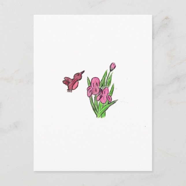 Postal Iris rosa (Anverso)