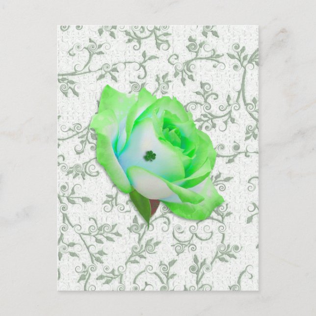 Postal ¡Iris Rosa y Shamrock! (Anverso)