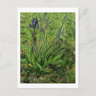 Postal Iris, Vincent van Gogh