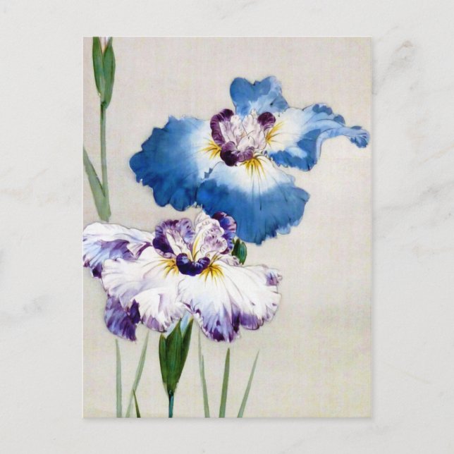 Postal Iris, Watanabe Seitei (Anverso)
