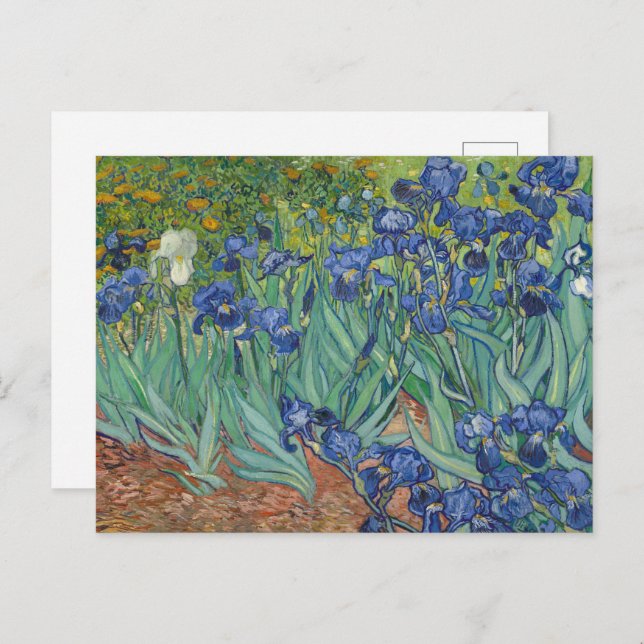 Postal Irises de Van Gogh (Anverso / Reverso)