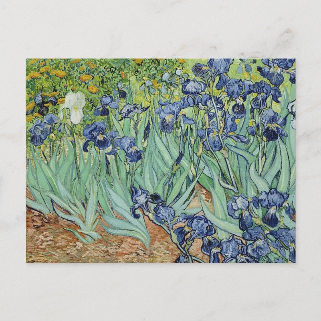 Postal Irises de Van Gogh (Anverso)