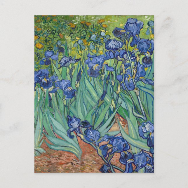 Postal Irises de Van Gogh (Anverso)