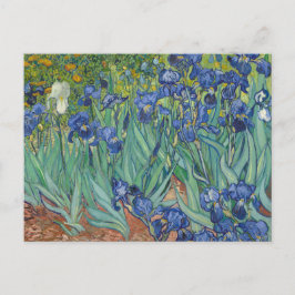Postal Irises de Vincent Van Gogh