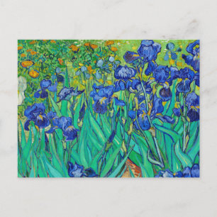 Postal Irises de Vincent Van Gogh