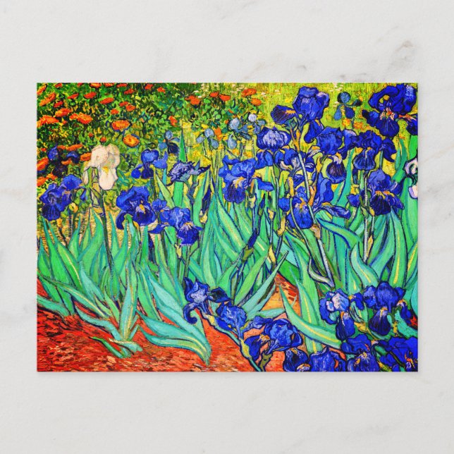 Postal Irises de Vincent Van Gogh (Anverso)
