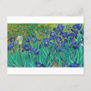 Postal Irises de Vincent van Gogh