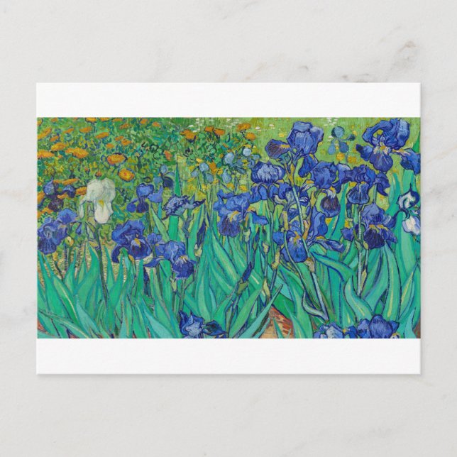 Postal Irises de Vincent van Gogh (Anverso)