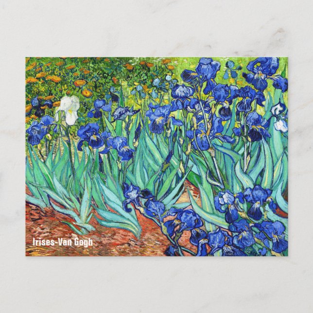Postal Irises De Vincent Van Gogh (Anverso)