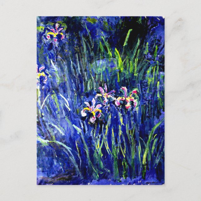Postal Irises, famoso cuadro de Monet, (Anverso)