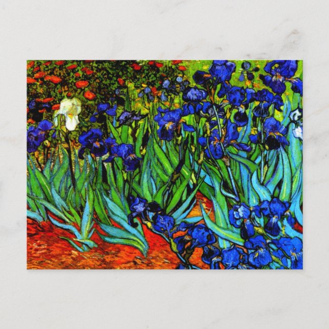 Postal Irises, famoso cuadro floral de Van Gogh (Anverso)