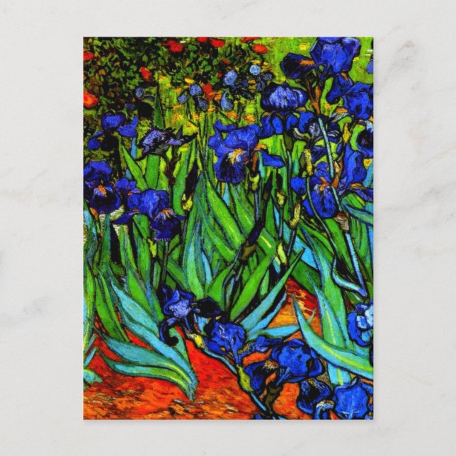 Postal Irises, famoso cuadro floral de Van Gogh (Anverso)
