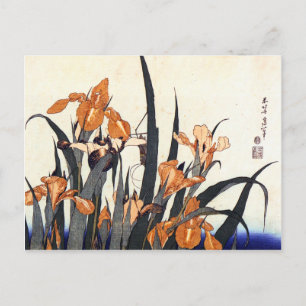 Postal Irises, Katsushika Hokusai