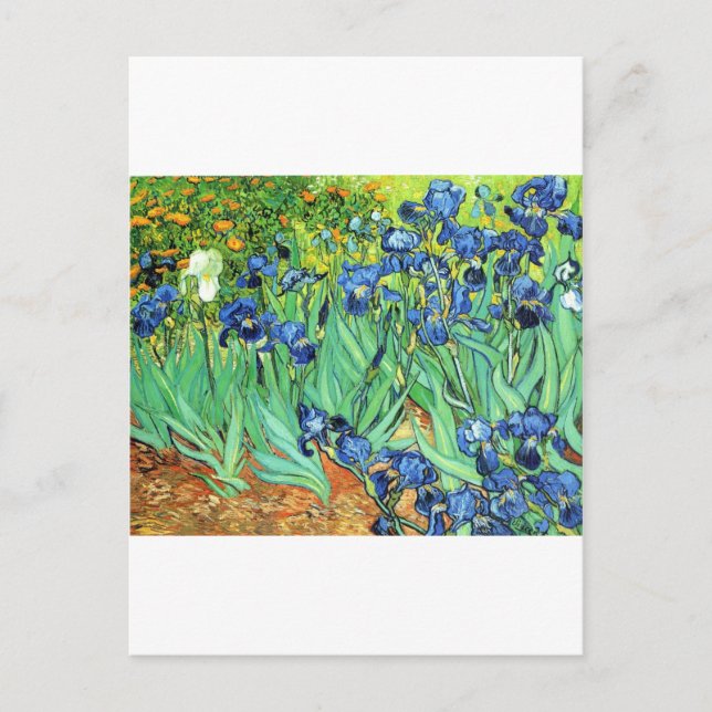 Postal Irises ~ Monet (Anverso)