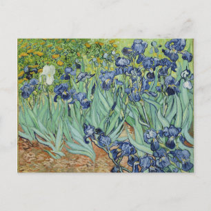 Postal Irises - Van Gogh