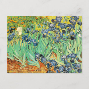 Postal Irises - Van Gogh - c1889