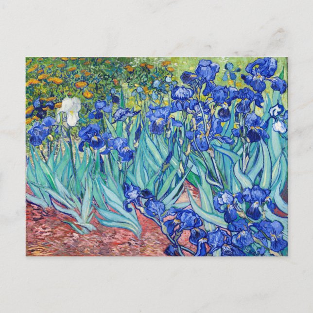Postal Irises Vincent van Gogh (Anverso)