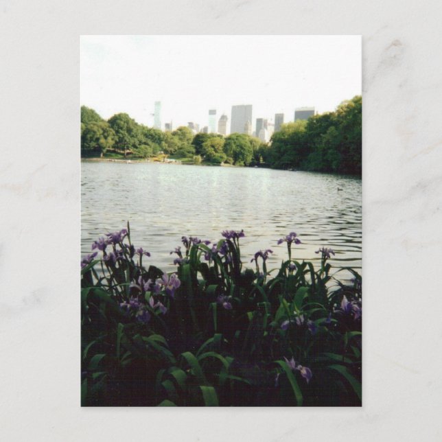 Postal irisesmmm 001 (Anverso)