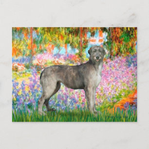 Postal Irish Wolfhound 3 - Jardín