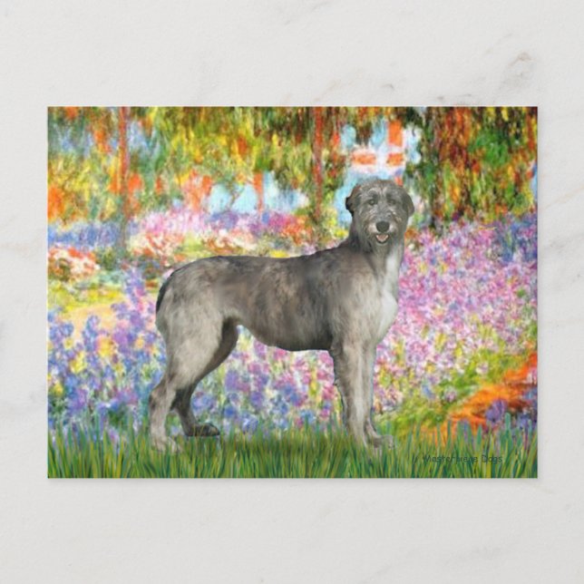 Postal Irish Wolfhound 3 - Jardín (Anverso)