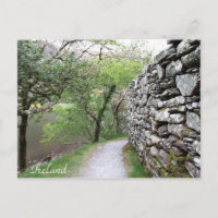 Irlanda, County Cork, Stone Wall, Fotografía,