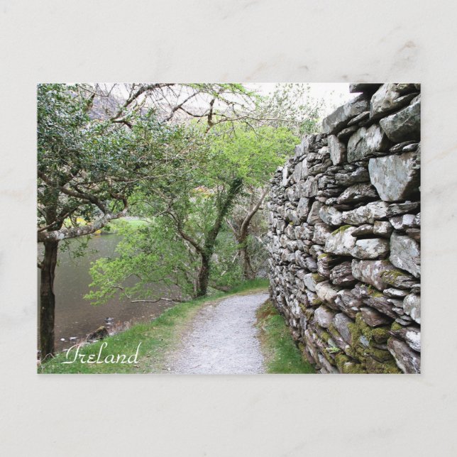 Postal Irlanda, County Cork, Stone Wall, Fotografía, (Anverso)
