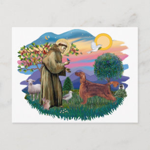 Postal Irlandés Setter