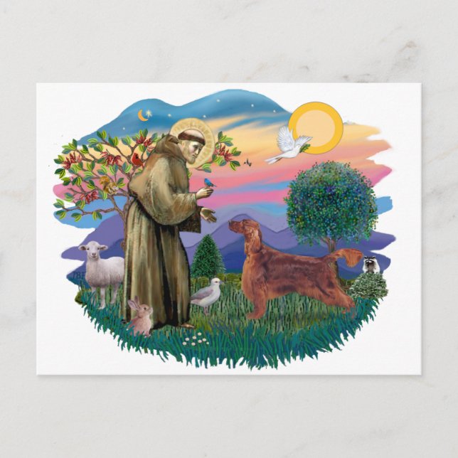 Postal Irlandés Setter (Anverso)