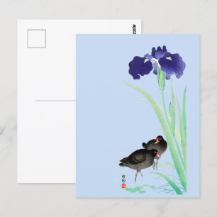 Postal Irlandeses azules y morinas por Ohara Koson