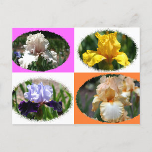 Postal Irlandeses en los jardines botánicos de Misuri