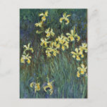 Postal Irritos amarillos de Claude Monet, Bella Artes de<br><div class="desc">Los irlandeses amarillos (1914-1917) de Claude Monet es una pintura de arte fino e impresionista vintage que presenta flores de iris amarillos florecientes que crecen en un jardín. Sobre el artista: Claude Monet (1840-1926) fue fundador del movimiento de pintura impresionista francés, donde la mayoría de sus pinturas eran paisajes impresionistas...</div>