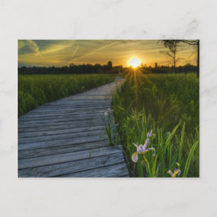 Postal Irwin Prairie Postcard