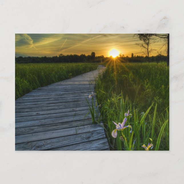 Postal Irwin Prairie Postcard (Anverso)