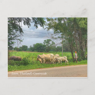 Postal Isaan, el campo de Tailandia