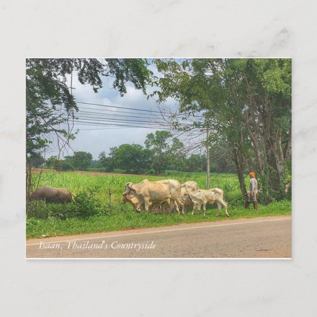 Postal Isaan, el campo de Tailandia (Anverso)