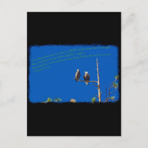 Postal Isaías 40:31 en negro