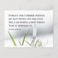 Isaías 43:18 Estoy haciendo una NUEVA COSA Biblia 